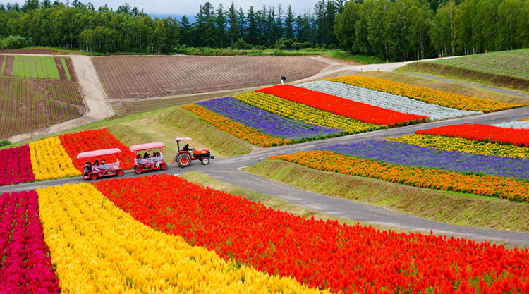 北海道花园.png