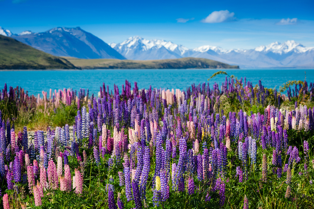 shutterstock_155246192.jpeg