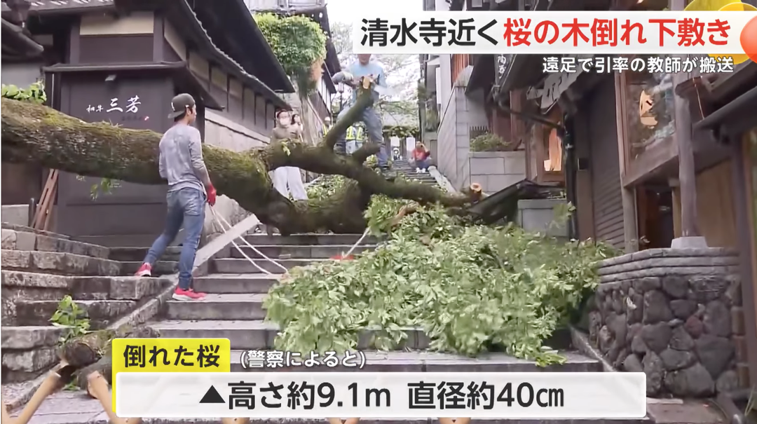 WX20240425-180143@2x.png